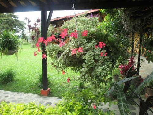 Posada Hostal Alto De Los Andaquies
