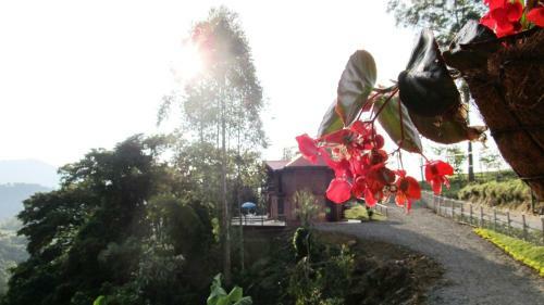 Hostal Caba�as Rurales El Cielo