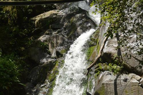 Sierra San Juan - Ecolodge