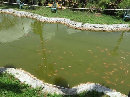 Agroturismo Finca La Bella