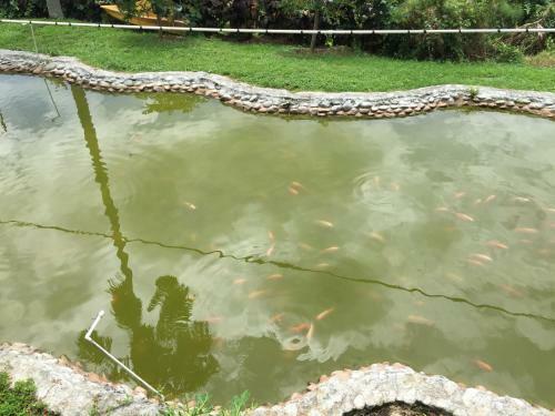 Agroturismo Finca La Bella
