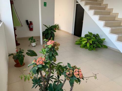 Hotel El Imperio Ibague