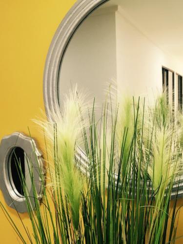 Terraza Hotel Villavicencio