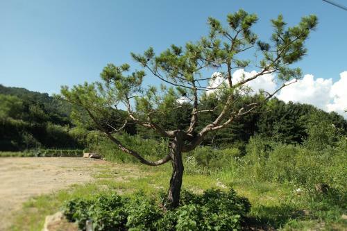 Prunnarae Pension