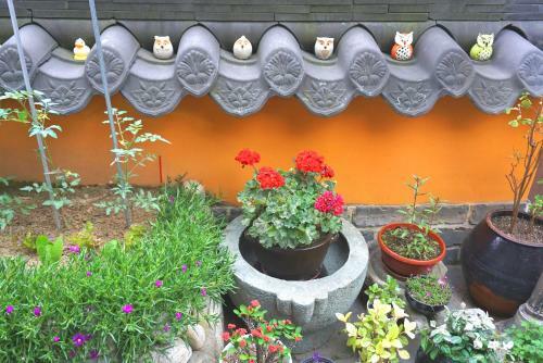 Hostal Gangneongjeon Hanok Stay