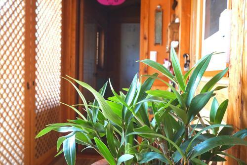 Hostal Gangneongjeon Hanok Stay