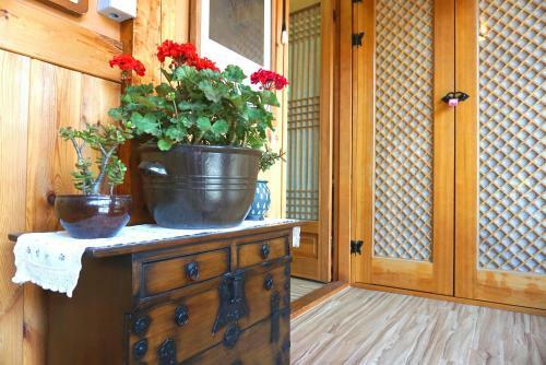 Hostal Gangneongjeon Hanok Stay