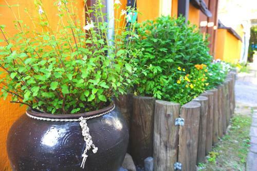 Hostal Gangneongjeon Hanok Stay