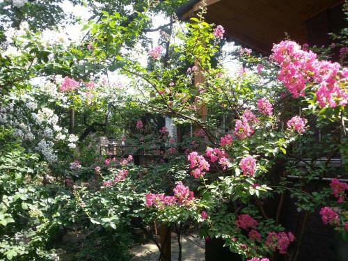 Hostal Jiwoljang Guesthouse
