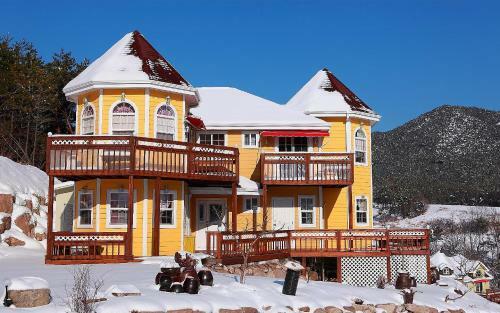 Yellow Star Pension