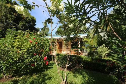 Villa New Caribe Point