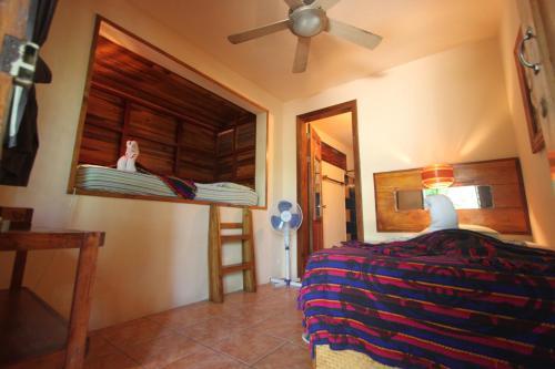 Hostal Tico Adventure Lodge