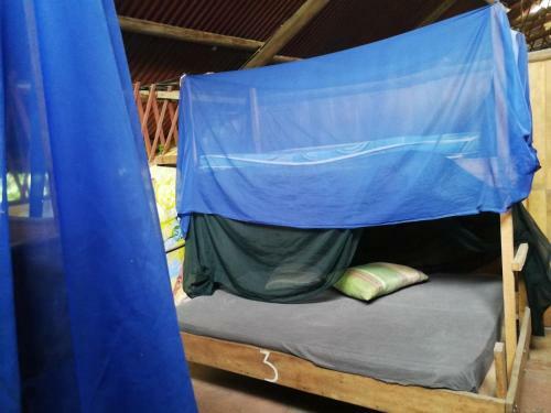 Piramys Hostel And Tours In Dominical