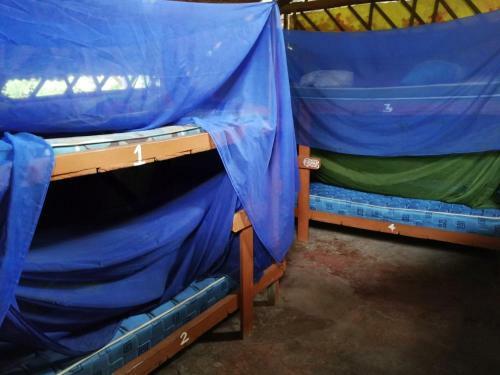 Piramys Hostel And Tours In Dominical