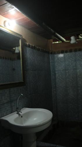 Piramys Hostel And Tours In Dominical
