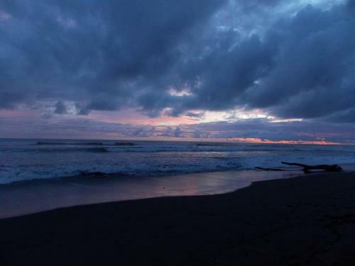 Piramys Hostel And Tours In Dominical