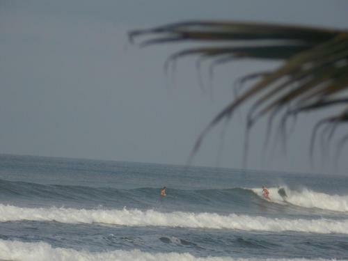 Piramys Hostel And Tours In Dominical