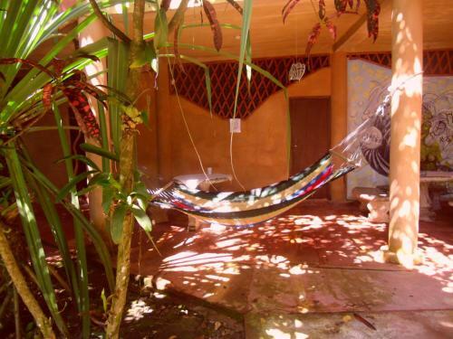 Piramys Hostel And Tours In Dominical