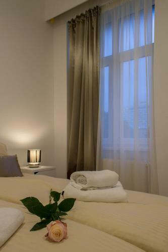 Hostal Red Carpet Apartments & Rooms