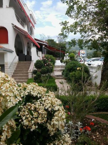 Hostal Garfild Guest House