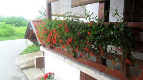 Apartments Marija