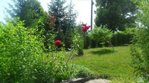 Apartments Marija