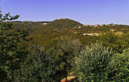 Apartments Villa Vires