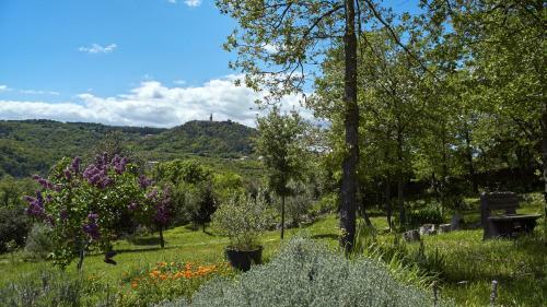 Apartments Villa Vires