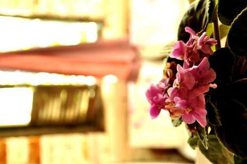 Hostal Chal� de Pedra - Hospedaria E Espa�o Livre