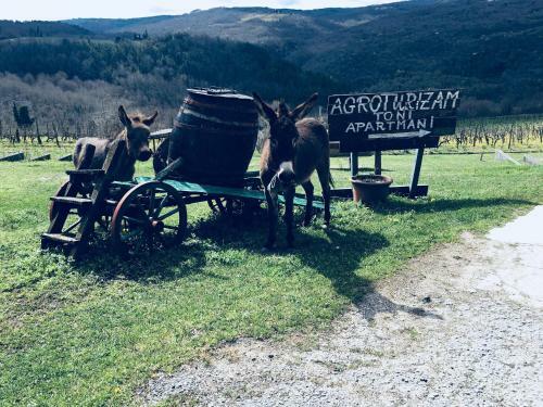 Apartamento Agroturizam Toni