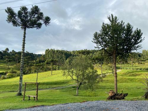 Bed & Breakfast Pousada Rural Pav�o