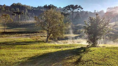Bed & Breakfast Pousada Rural Pav�o
