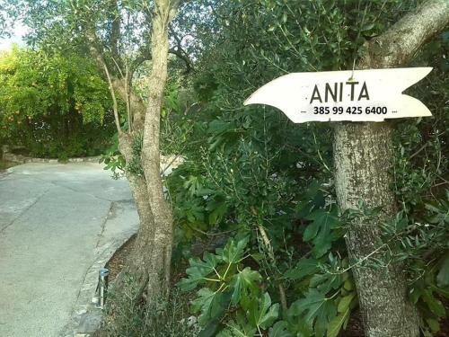 Apartamentos Anita, Kor?ula