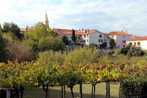 Apartment Nedescina 7455b