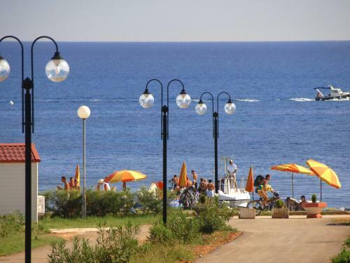 Hotel Oliva 4