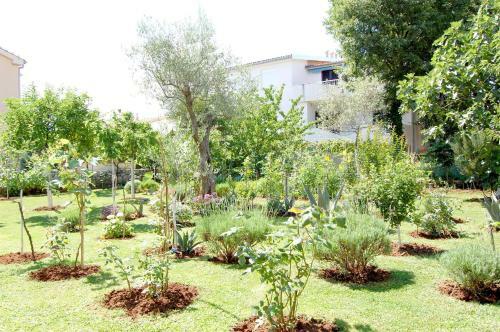 Apartments Klic