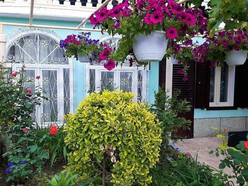 Hostal Guest House Villa Baska