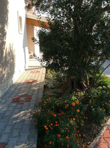 Apartments Franov