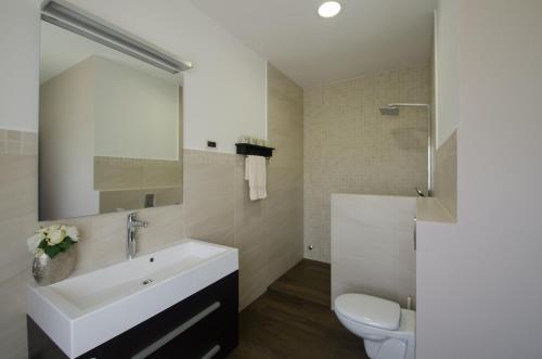 Zp Luxury Istrian Apartment
