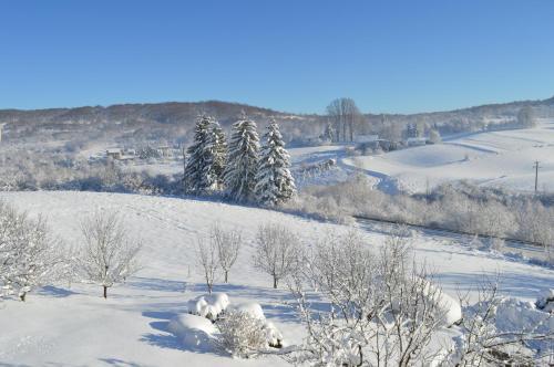 Apartamentos Guesthouse Rubcic