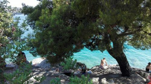 Aparthotel Fresh Apartments Dar Orlic