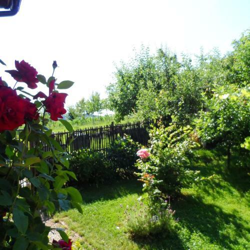 Apartamentos Ruhige Lage