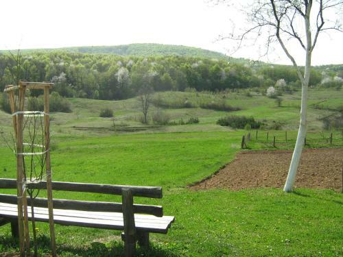 Apartamentos Ruhige Lage