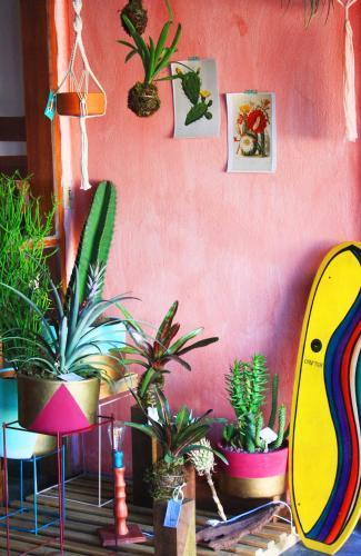 Drifter Hostel
