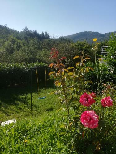 Holiday Home Mandalena