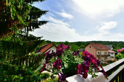 Apartamentos Studio Ivona