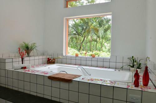 Agroturismo Spa Igarat�