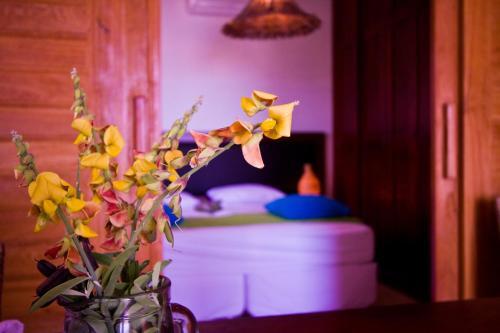 Hostal Windvillage