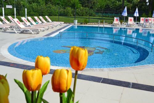 Hotel Ostrova