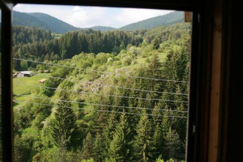 Chalet Kamenik